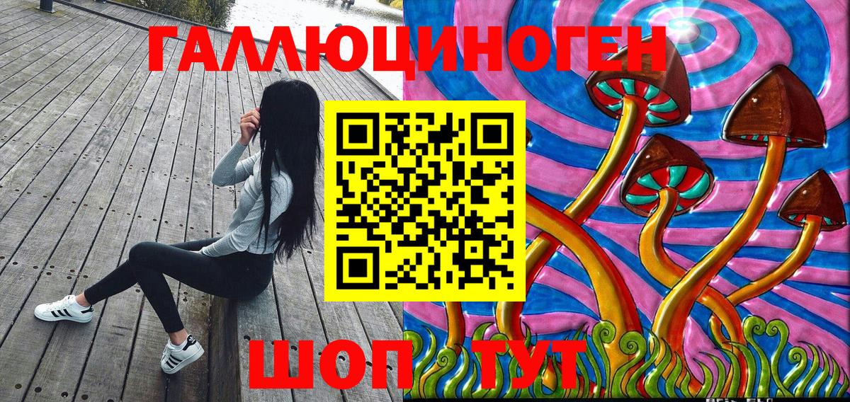 Галлюциногенные грибы Psilocybe  Вход с VPN  Галлюциногенные грибы MAGIC MUSHROOMS  Видное 